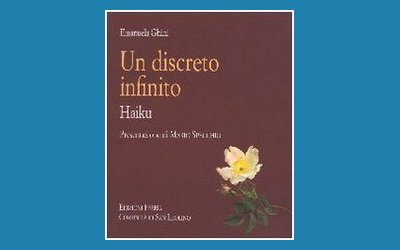 Un discreto infinito