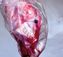 Le mani dell'altro