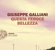 Questa feroce bellezza