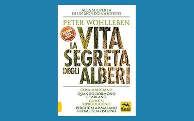 La vita segreta degli alberi