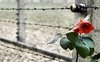 Tre libri per il 27 gennaio, Giorno della Memoria