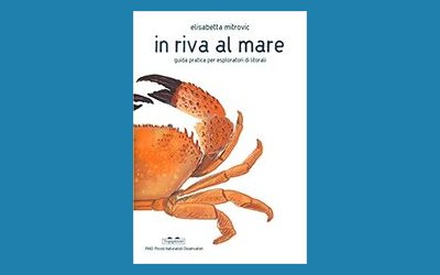 In riva al mare