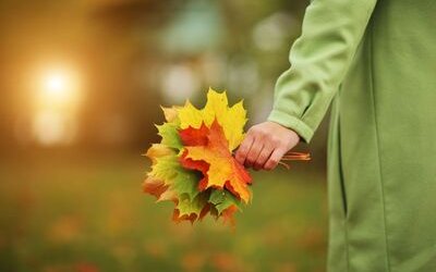 “Se tu venissi in autunno” di Emily Dickinson: la poesia dell'attesa