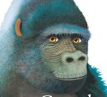 Grande gorilla, piccolo gorilla