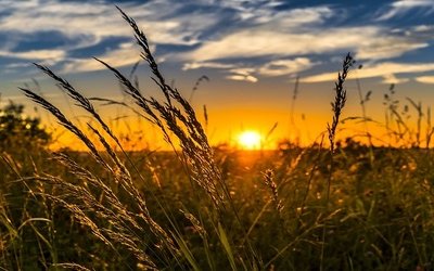 5 libri da regalare a chi ama l'estate