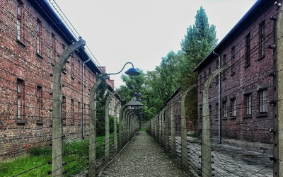 I saggi sulla Shoah da leggere nel Giorno della memoria
