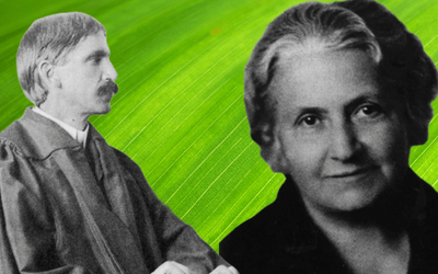 Montessori e Dewey: analogie e differenze per la traccia del liceo Scienze Umane alla Maturità 2024