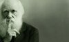 Darwin Day: 5 libri per ricordare Charles Darwin, padre dell'evoluzione della specie