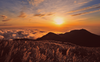 “Tu non sai le colline”: la poesia di Cesare Pavese per il 25 aprile