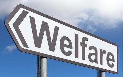 Welfare: cos'è, cosa vuol dire e come funziona