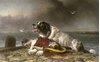 “Epitaffio per un cane”: la poesia di Lord Byron per la Giornata mondiale del cane