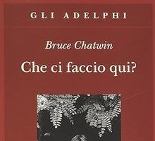 Che ci faccio qui?