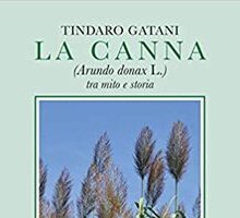 La canna (Arundo donax L.) tra mito e storia