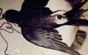 Vola Golondrina