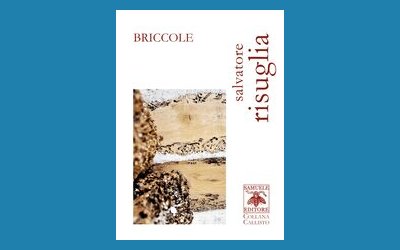 Briccole