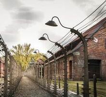 Giornata della memoria 2021: consigli di lettura