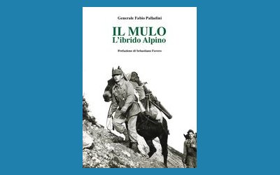 Il mulo. L'ibrido Alpino
