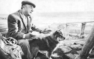 “Ode al cane”: la poesia di Pablo Neruda per la Giornata mondiale del cane