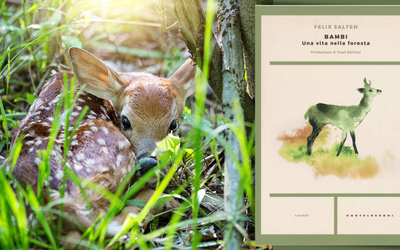 La vera storia di Bambi: un'allegoria della persecuzione antisemita