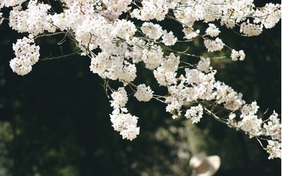 5 libri con "aprile" nel titolo