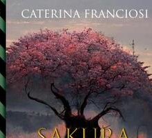 Sakura. L'albero di ciliegio