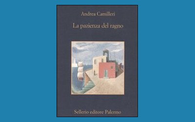 La pazienza del ragno