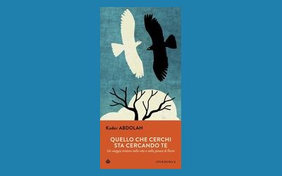 Quello che cerchi sta cercando te. Un viaggio mistico nella poesia e nella vita di Rumi