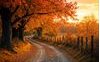 “Ottobre” di Cristina Campo: una poesia d'autunno 