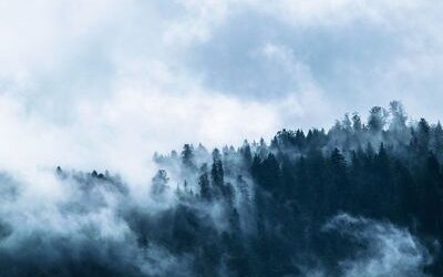 “Nebbia” di Giovanni Pascoli: testo, parafrasi e analisi della poesia