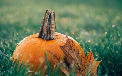 5 libri con "ottobre" nel titolo