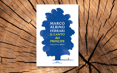 “Il canto del Principe”: la storia di morte e rinascita di un albero