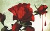 La confraternita della rosa nera