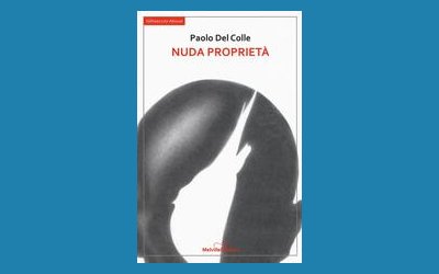 Nuda proprietà