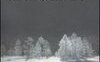 Il sergente nella neve