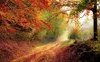 “La strada non presa” di Robert Frost: testo e analisi della poesia