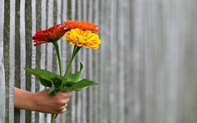 “Mi fermo un momento a guardare”: testo e analisi della poesia di Roberto Roversi