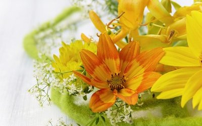 Buon onomastico: le migliori frasi di auguri
