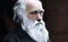 Charles Darwin: vita, viaggi e teoria dell'evoluzione