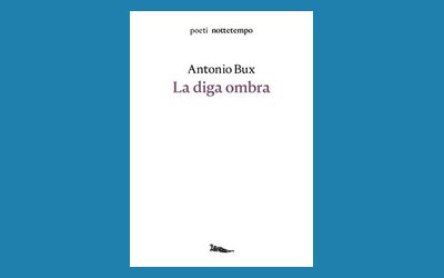 La diga ombra