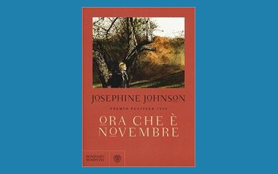 Ora che è novembre