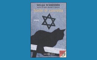 Stelle di cannella