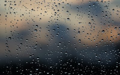10 libri perfetti da leggere quando piove