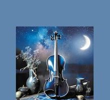 Il violino noir
