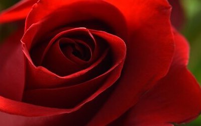 “È maggio”: l'ode alla natura nella poesia di Giovanni Pascoli 