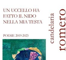Un uccello ha fatto il nido nella mia testa