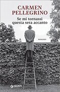 Se mi tornassi questa sera accanto