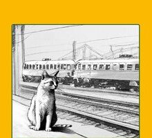 Il gatto che prendeva il treno. Conversazione sulla magia delle stazioni