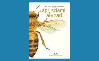 Api, sciami, alveari