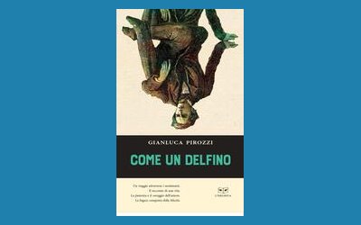 Come un delfino