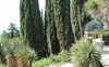 I giardini di Villa Hanbury, amati da Nico Orengo, compiono 155 anni